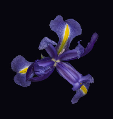2022-01-14-13.39.53 ZS PMax.jpg