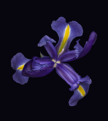 2022-01-14-14.21.17 ZS PMax.jpg