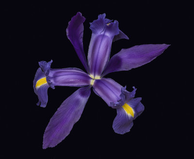 2022-02-08-17.30.08 ZS PMax.jpg