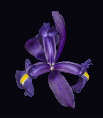 2022-02-20-12.05.28 ZS PMax_crop.jpg
