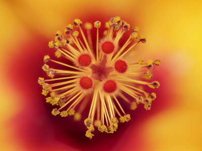 2022-03-13-16.39.11 ZS PMax.jpg
