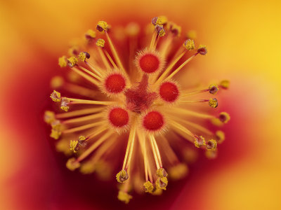 2022-03-13-16.04.57 ZS PMax.jpg