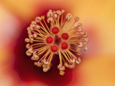 2022-03-13-10.34.04 ZS PMax.jpg