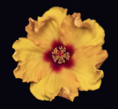 2022-03-16-13.01.16 ZS PMax_crop.jpg