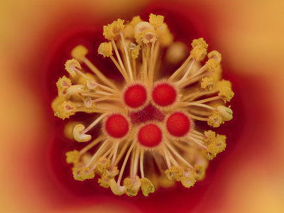 2022-03-19-09.15.13 ZS PMax.jpg