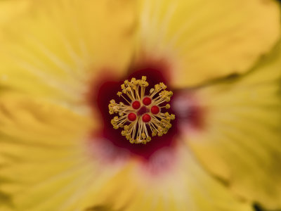 2022-03-19-10.28.39 ZS PMax.jpg