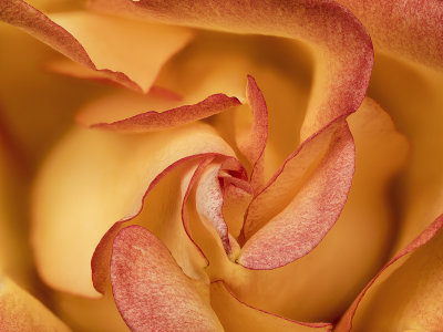 2022-03-26-13.51.18 ZS PMax.jpg