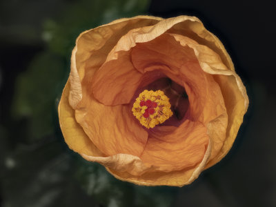 2022-04-14-13.26.27 ZS PMax.jpg