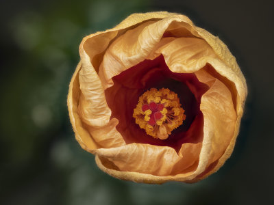 2022-04-14-09.57.57 ZS PMax.jpg
