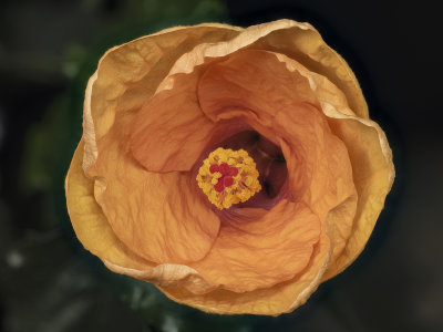 2022-04-14-15.16.11 ZS PMax.jpg