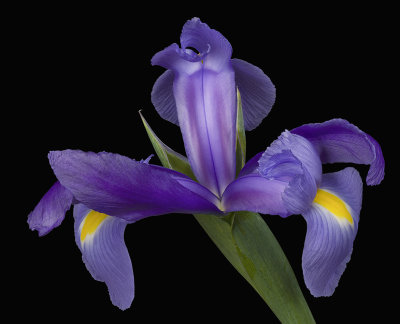 2022-04-18-15.01.35 ZS PMax.jpg