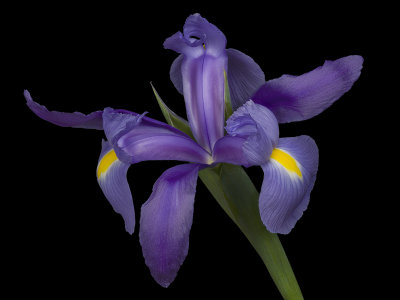 2022-04-18-16.30.17 ZS PMax.jpg