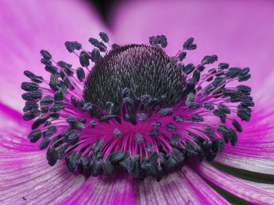 2022-04-23-09.42.08 ZS PMax_openWith.jpg