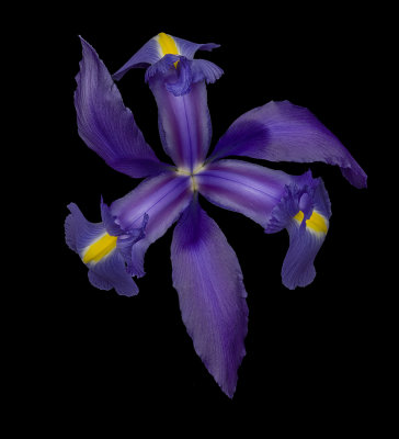2022-04-28-14.04.17 ZS PMax.jpg