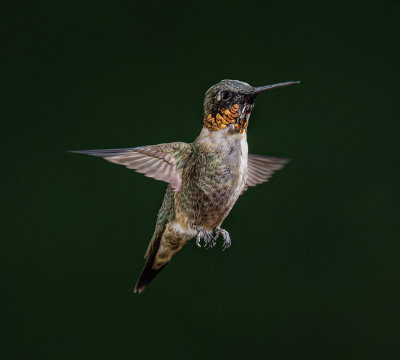 _DSC4365_openWith.jpg