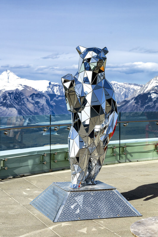 Mirror Bear, Sulphur Mountain Upper Gondola Station