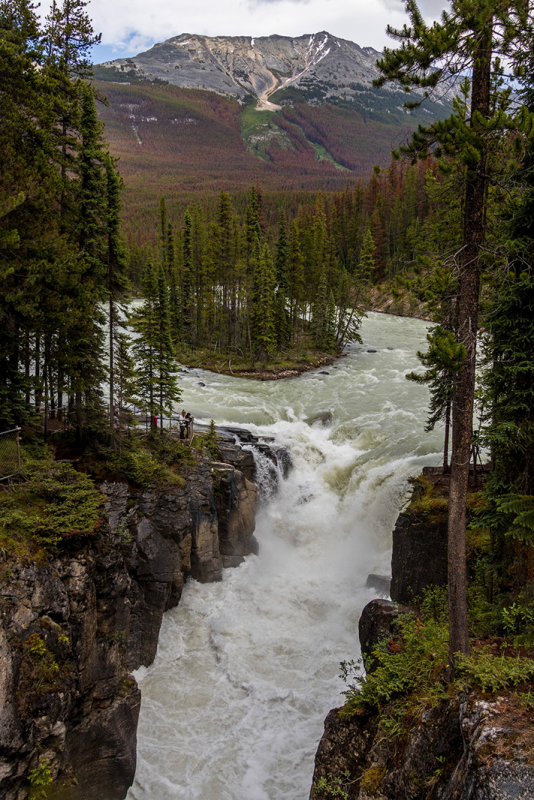 IMG_0451w.jpg