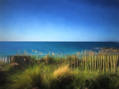bat-Yam_IMG_0583w.jpg
