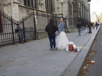 Paris_A201833w.jpg
