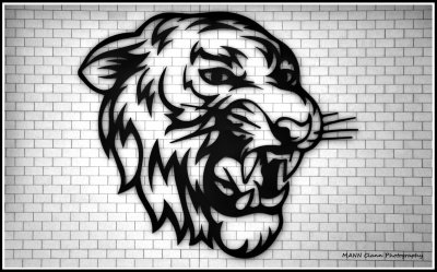 Cornerstone Tigers