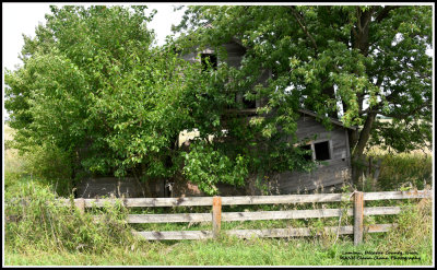 I found this barn by the side of the road. 