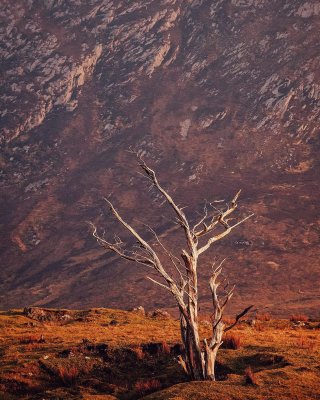 Connemara