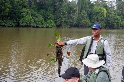Our local guide inform us about the problems with the Water Hyacinth