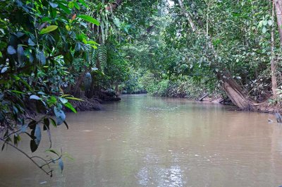 Entrance to Kelenanap oxbow lake