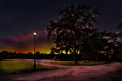 945A1343_DxO.jpg