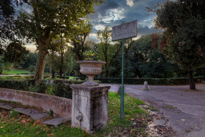 945A1337_DxO.jpg