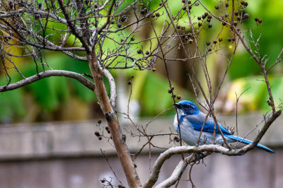 595A8463[1]_DxO.jpg