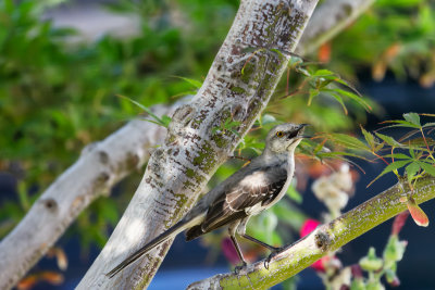 595A8818_DxO.jpg