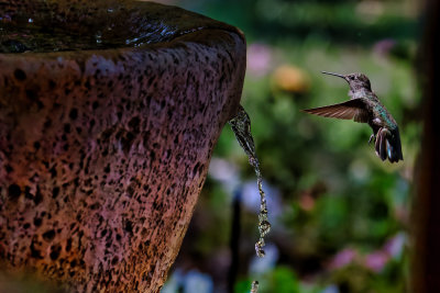 595A8808[1]_DxO.jpg