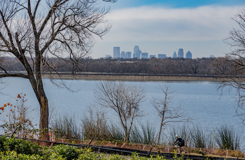 Dallas Skyline from Arboretum