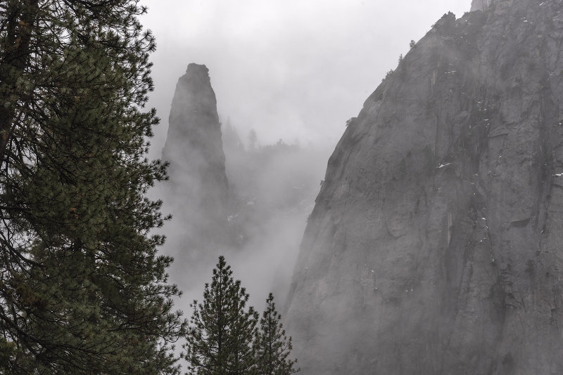 10 Jan 2019, a cold foggy day in the Yosemite valley