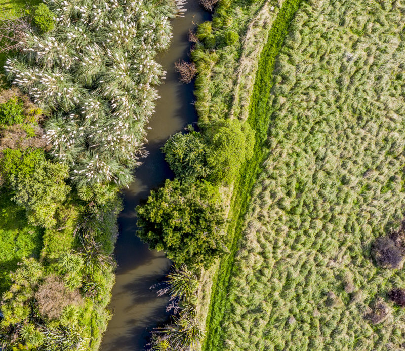 16 August 2019 - Waitohu River from above