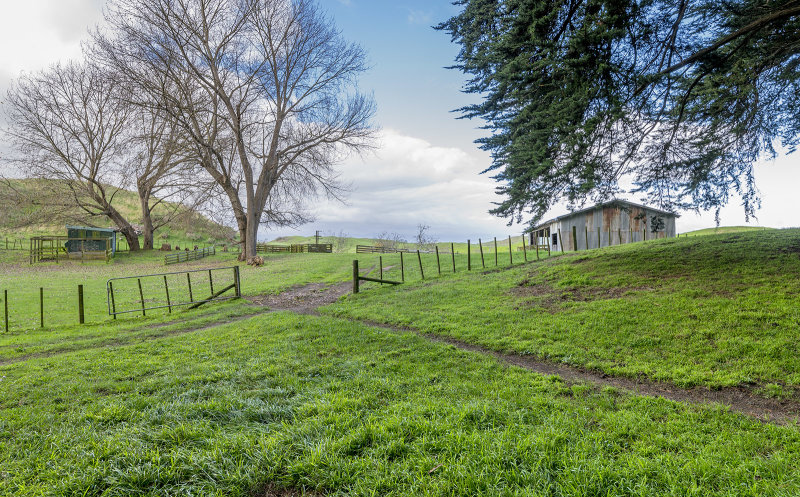 21 May 2021 - had a shoot on a lifestyle property at Waitarere beach