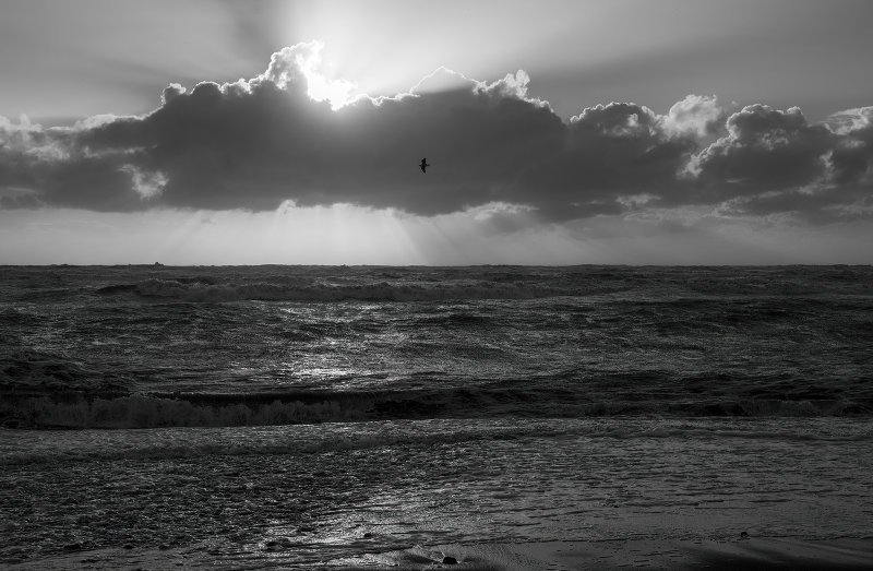 Otaki Beach