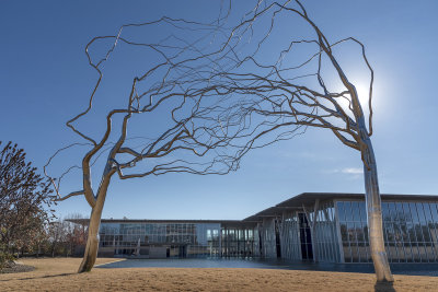 Roxy Paine Trees at Fort Worth