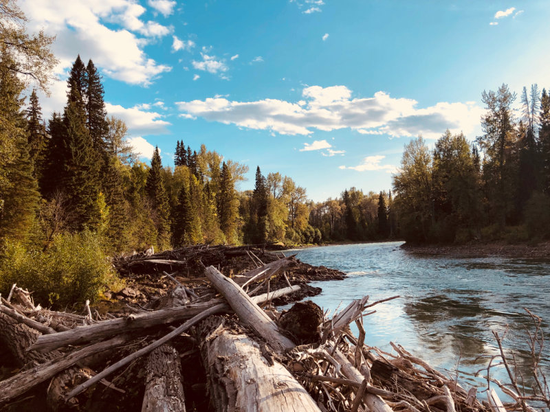 Seen Along the Morice