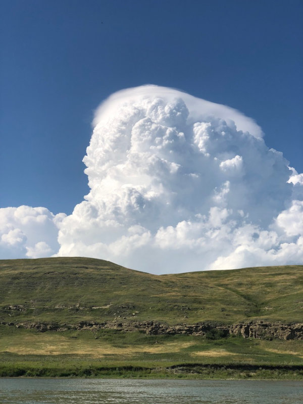 Tower Going Up. (that cap on top is known as a pileus cloud)