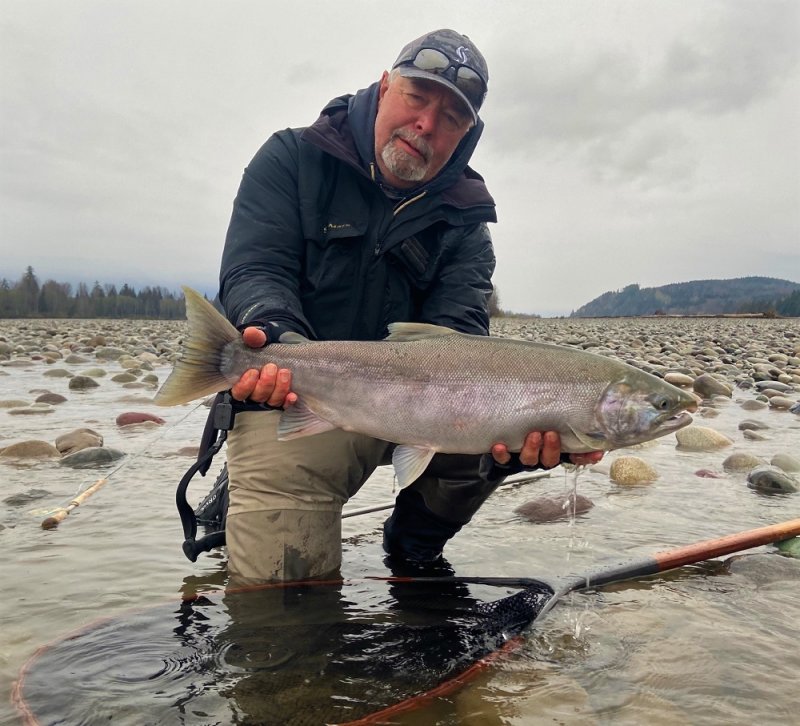 Skeena Coho