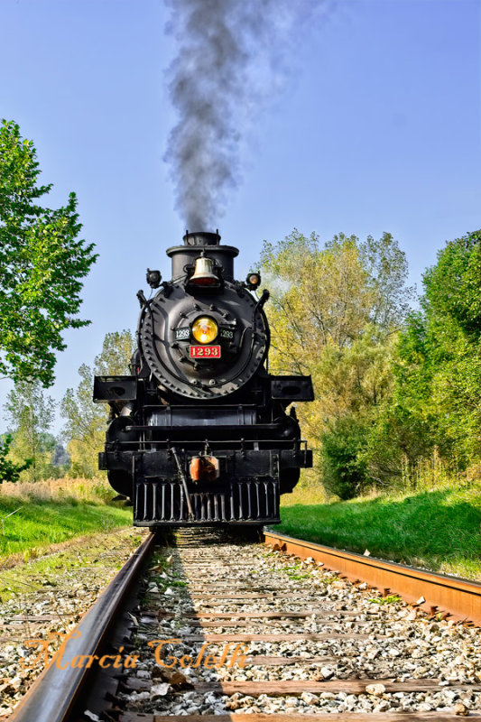  The Ohio Central #1293 steam-engine-0731.jpg