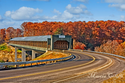 SMOLEN GULF BRIDGE-5283.jpg