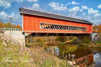 NETCHER ROAD BRIDGE_2698-.jpg