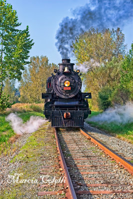 The Ohio Central #1293 steam-engine-0757.jpg
