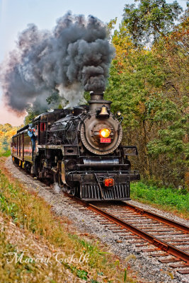 The Ohio Central #1293 steam-engine-0820.jpg