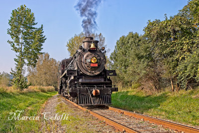 Ohio Central #1293 steam-engine-0753.jpg