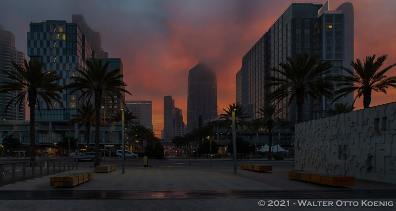 Foggy Sunrise Downtown