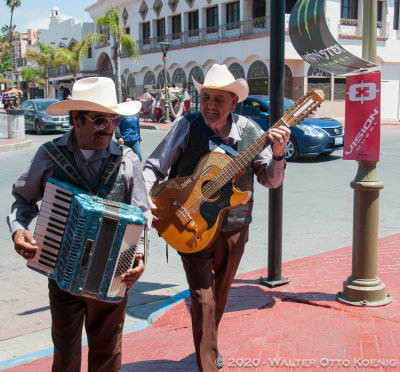 Musicians Downtown Ensenada